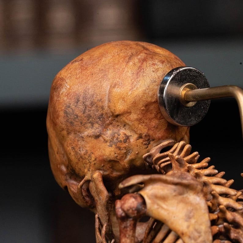 3D Printed Human Fetus, Infant baby skeleton, hand painted figurine, creepy horror decor, curio cabinet gift