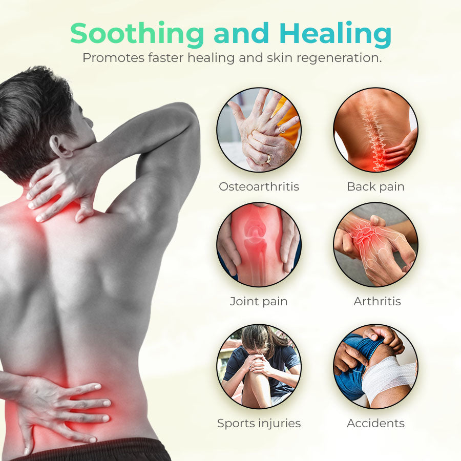 🌿ORGANIC HERBAL SALVE 4OZ