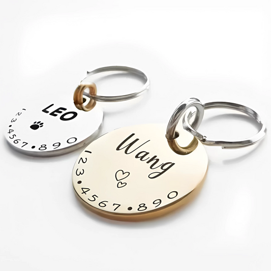 Bella Tailored Pet Name Tag Collar