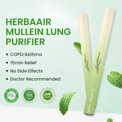 🌿 LBMLBM™ Mullein Aroma Diffuser – Natural Relief for Breathing & Comfort 🌬️