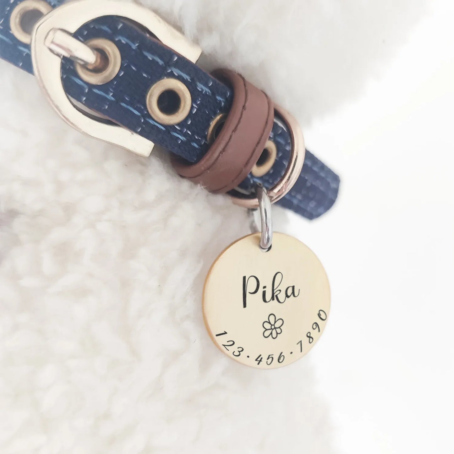 Bella Tailored Pet Name Tag Collar