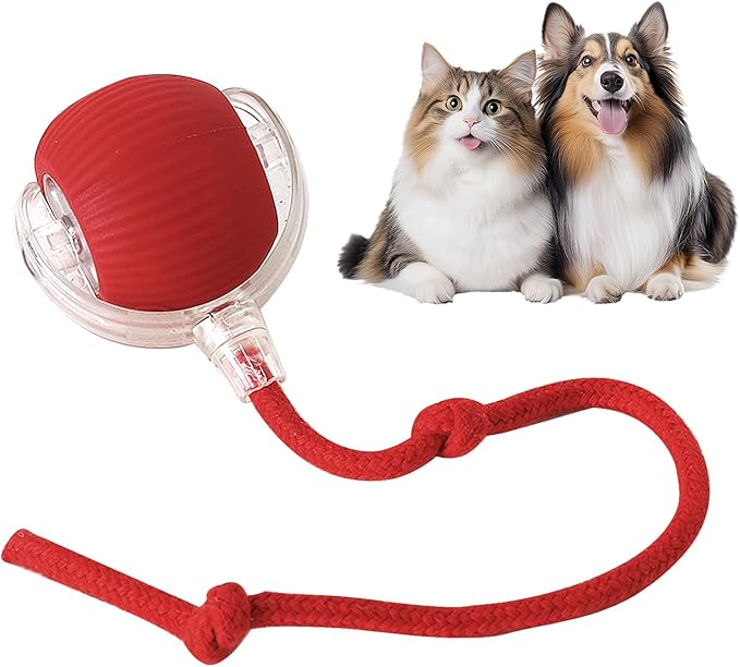🎁 A Christmas Surprise for Your Fur Baby! ✨ Pet Bounce Ball for Cats🐱 & Dogs🐶