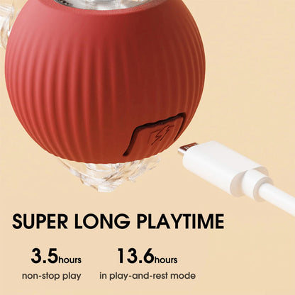 🎁 A Christmas Surprise for Your Fur Baby! ✨ Pet Bounce Ball for Cats🐱 & Dogs🐶