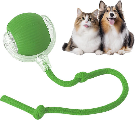 🎁 A Christmas Surprise for Your Fur Baby! ✨ Pet Bounce Ball for Cats🐱 & Dogs🐶
