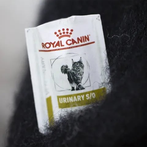 🔥LAST DAY 50% OFF - 🎄✨Wool Felt Familiars – Quirky Handmade Companions