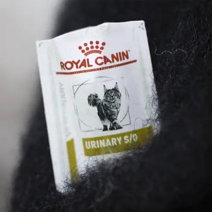 🔥LAST DAY 50% OFF - 🎄✨Wool Felt Familiars – Quirky Handmade Companions